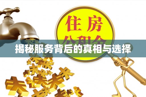 滨城揭秘服务背后的真相与选择