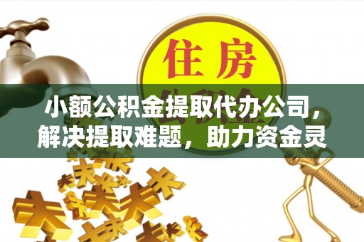 滨城小额公积金提取代办公司，解决提取难题，助力资金灵活使用