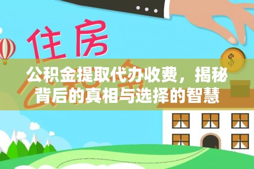 滨城公积金提取代办收费，揭秘背后的真相与选择的智慧