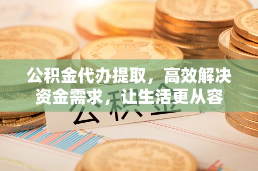 滨城公积金代办提取，高效解决资金需求，让生活更从容