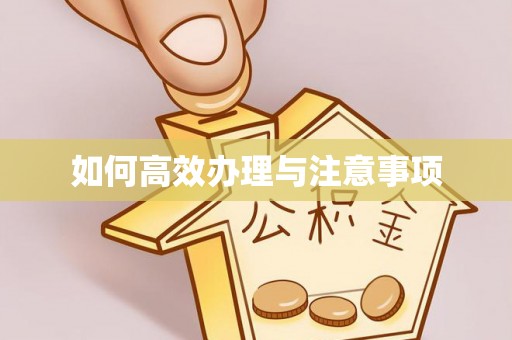 滨城如何高效办理与注意事项