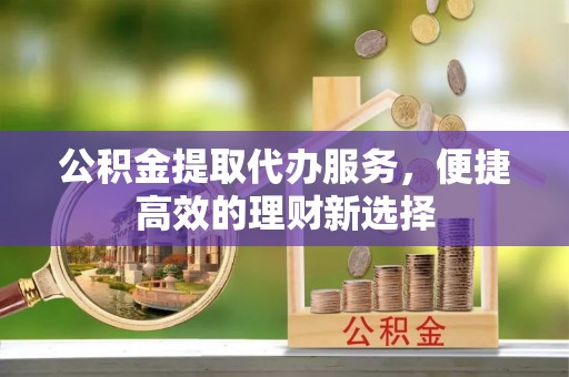 滨城公积金提取代办服务，便捷高效的理财新选择