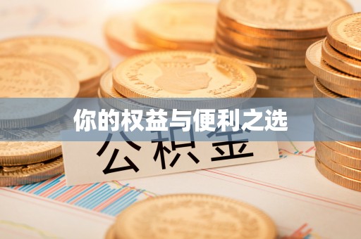 滨城你的权益与便利之选