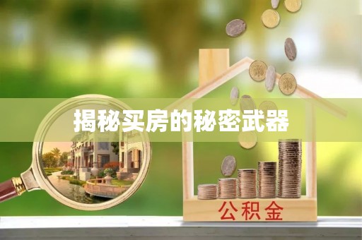 滨城揭秘买房的秘密武器
