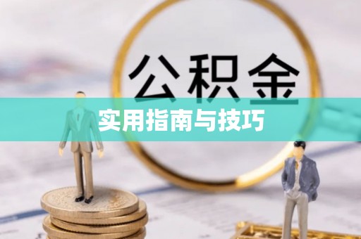 滨城实用指南与技巧