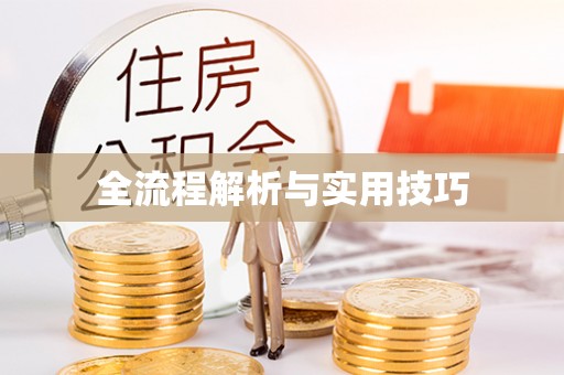 滨城全流程解析与实用技巧