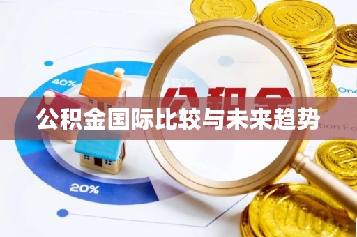 滨城公积金国际比较与未来趋势