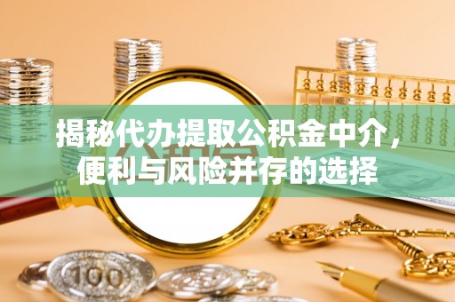 滨城揭秘代办提取公积金中介，便利与风险并存的选择