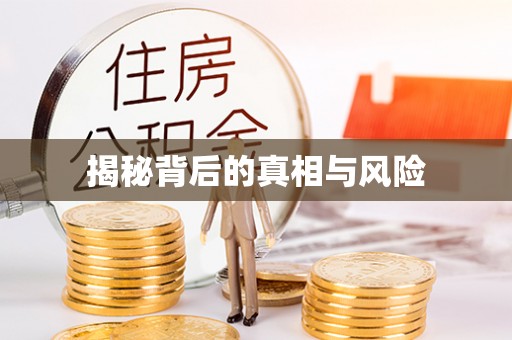 滨城揭秘背后的真相与风险
