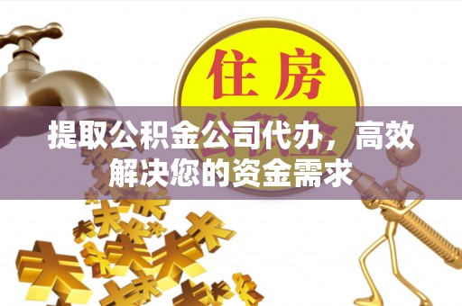 滨城提取公积金公司代办，高效解决您的资金需求