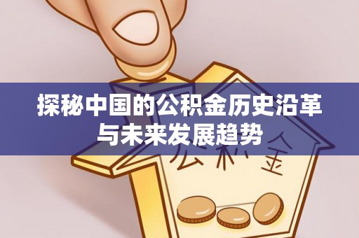 滨城探秘中国的公积金历史沿革与未来发展趋势