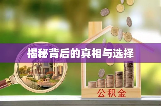 滨城揭秘背后的真相与选择