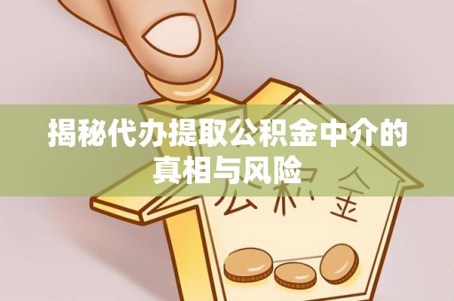 滨城揭秘代办提取公积金中介的真相与风险
