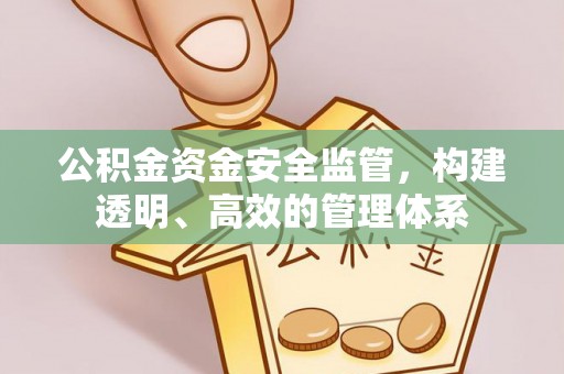 滨城公积金资金安全监管，构建透明、高效的管理体系