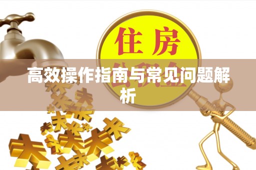 滨城高效操作指南与常见问题解析