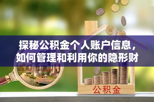 滨城探秘公积金个人账户信息，如何管理和利用你的隐形财富