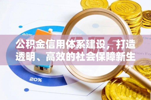滨城公积金信用体系建设，打造透明、高效的社会保障新生态