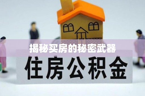 滨城揭秘买房的秘密武器