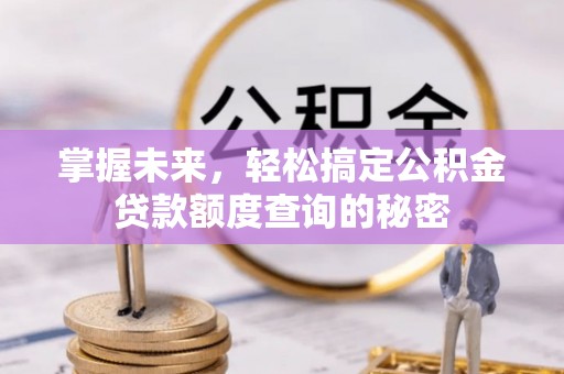 滨城掌握未来，轻松搞定公积金贷款额度查询的秘密