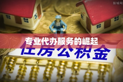 滨城专业代办服务的崛起