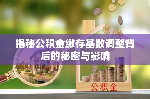 滨城揭秘公积金缴存基数调整背后的秘密与影响