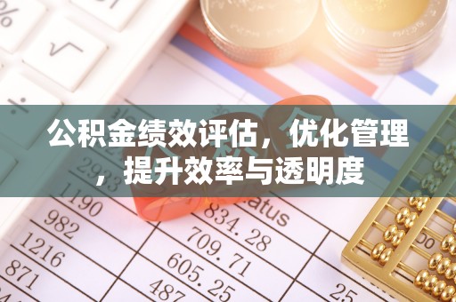 滨城公积金绩效评估，优化管理，提升效率与透明度