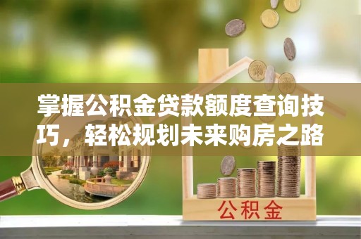 滨城掌握公积金贷款额度查询技巧，轻松规划未来购房之路