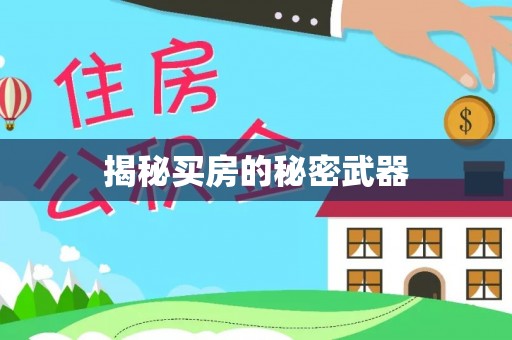 滨城揭秘买房的秘密武器