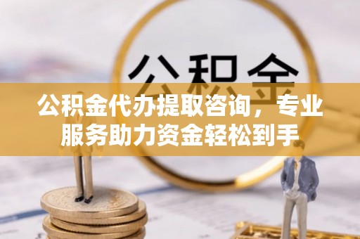 滨城公积金代办提取咨询，专业服务助力资金轻松到手