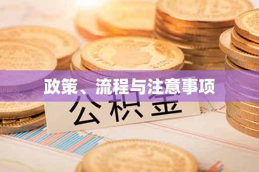 滨城政策、流程与注意事项