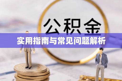 滨城实用指南与常见问题解析