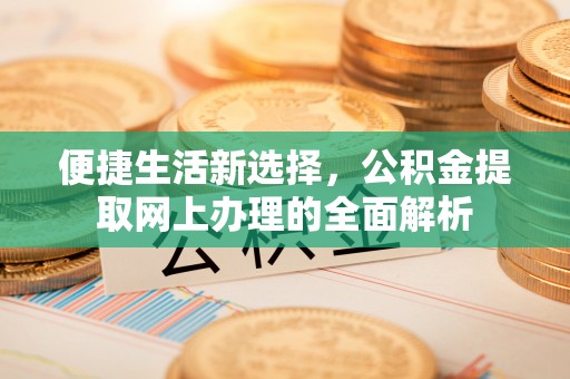 滨城便捷生活新选择，公积金提取网上办理的全面解析