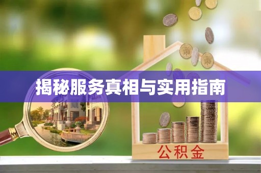 滨城揭秘服务真相与实用指南