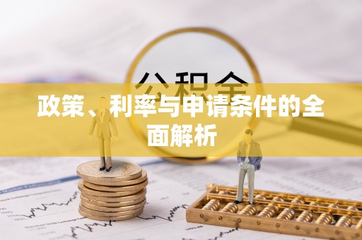 滨城政策、利率与申请条件的全面解析