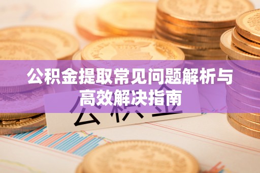 滨城公积金提取常见问题解析与高效解决指南