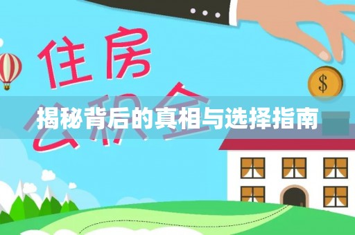 滨城揭秘背后的真相与选择指南