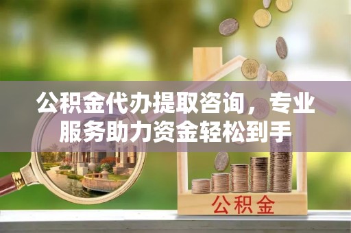 滨城公积金代办提取咨询，专业服务助力资金轻松到手