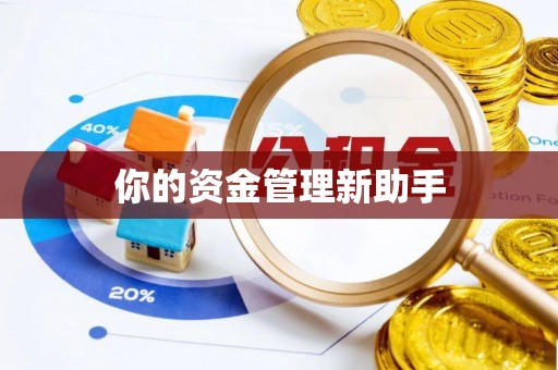 滨城你的资金管理新助手