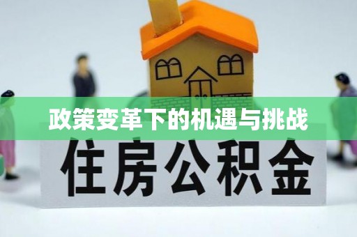 滨城政策变革下的机遇与挑战