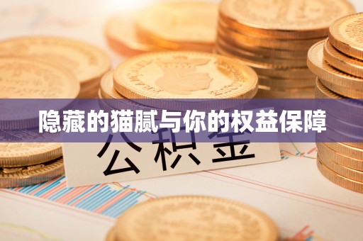 滨城隐藏的猫腻与你的权益保障