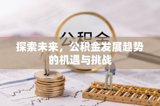 滨城探索未来，公积金发展趋势的机遇与挑战
