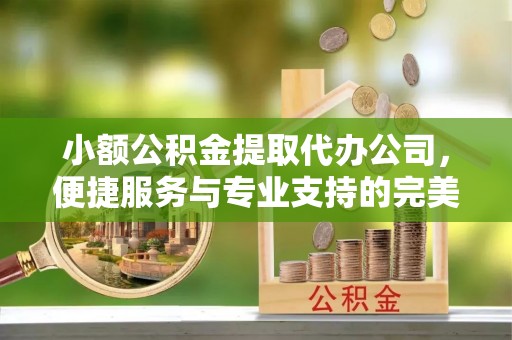 滨城小额公积金提取代办公司，便捷服务与专业支持的完美结合