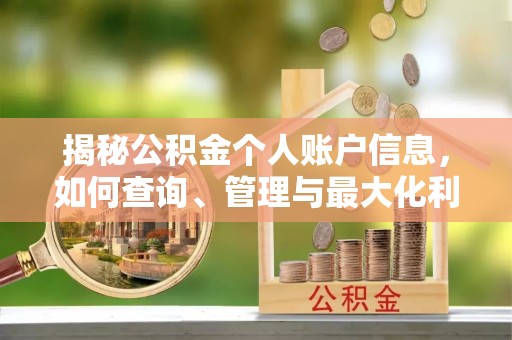 滨城揭秘公积金个人账户信息，如何查询、管理与最大化利用