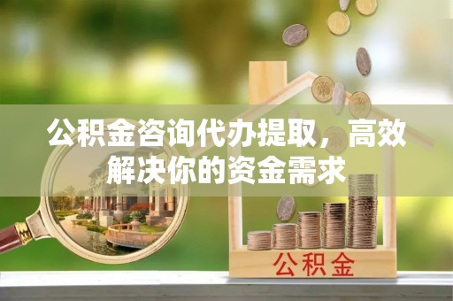 滨城公积金咨询代办提取，高效解决你的资金需求