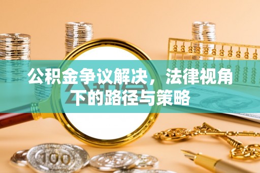 滨城公积金争议解决，法律视角下的路径与策略