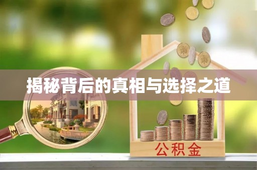 滨城揭秘背后的真相与选择之道