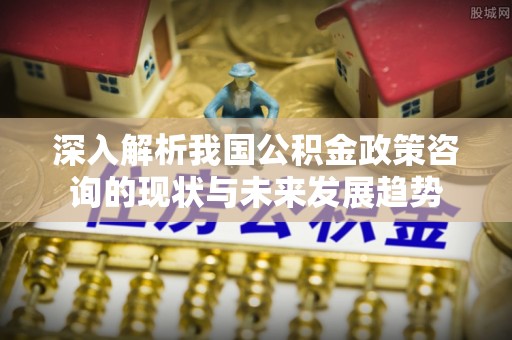 滨城深入解析我国公积金政策咨询的现状与未来发展趋势
