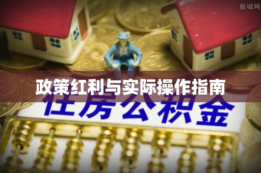 滨城政策红利与实际操作指南