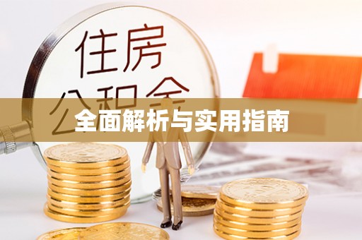 滨城全面解析与实用指南