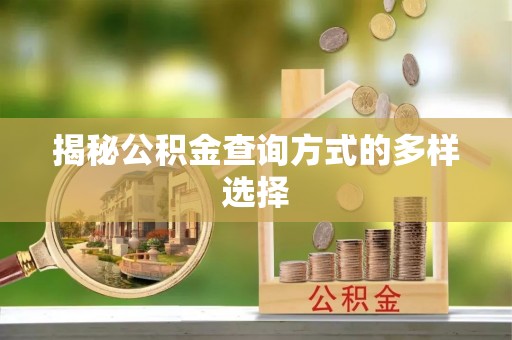 滨城揭秘公积金查询方式的多样选择